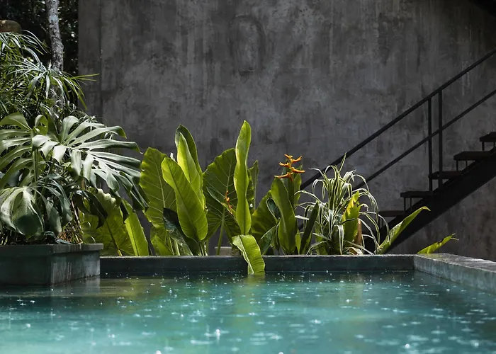 Casa Tattva Hotel