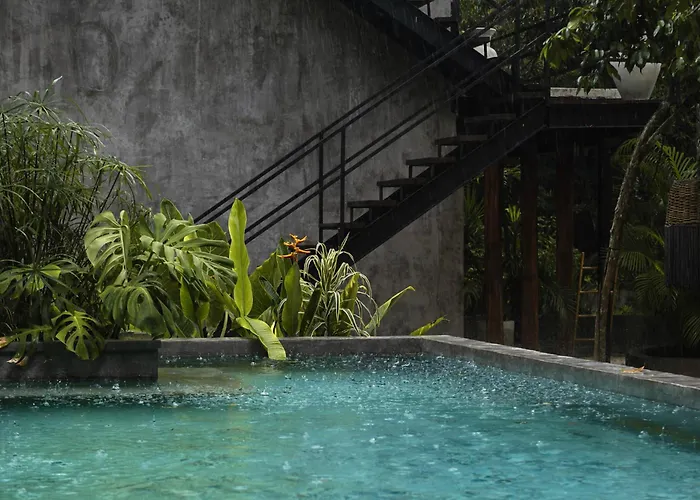 Casa Tattva Hotel 4*