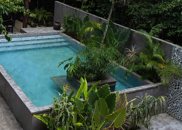 Casa Tattva Hotel 4*